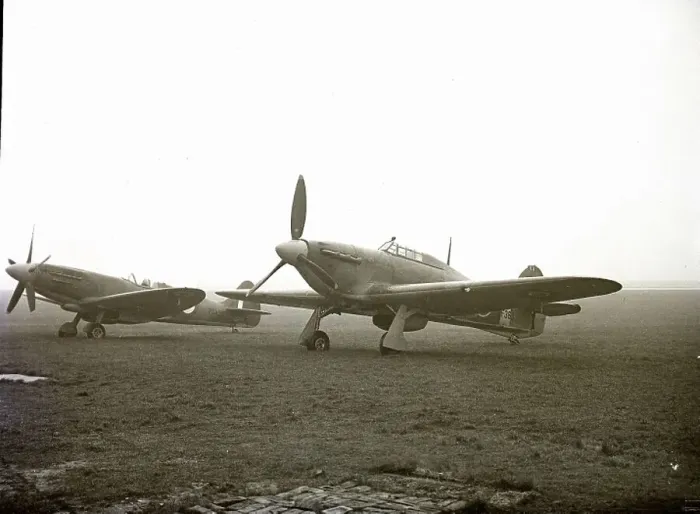Gerahmter Druck : Flug, SUP00236 Gerahmter Druck : Flug, SUP00236