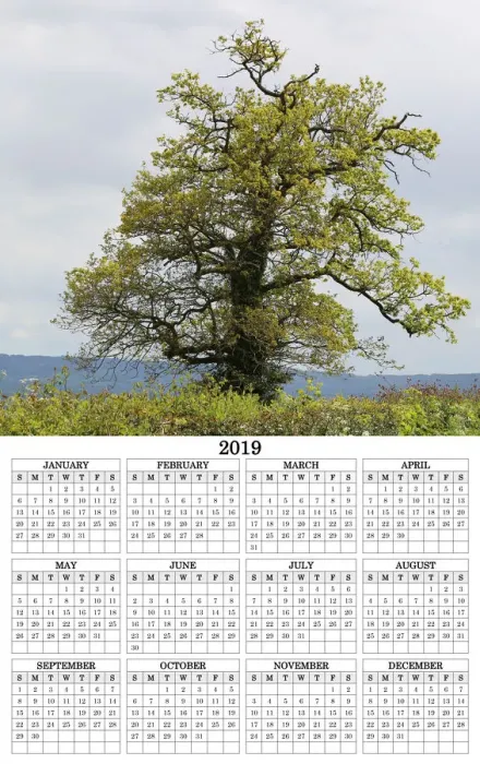 Gerahmter Druck : Baumkalender-Poster 2019 Gerahmter Druck : Baumkalender-Poster 2019