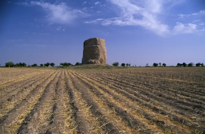 Gerahmter Druck : Buddhistsche Stupa Gerahmter Druck : Buddhistsche Stupa