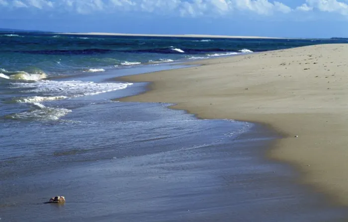 Gerahmter Druck : Krabben am Strand Gerahmter Druck : Krabben am Strand