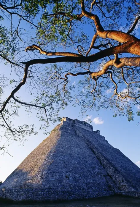 Gerahmter Druck : Die Zaubererpyramide Gerahmter Druck : Die Zaubererpyramide