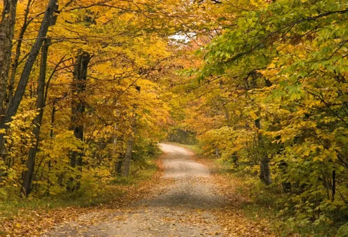 Gerahmter Druck : Mount Greylock Reservation Gerahmter Druck : Mount Greylock Reservation