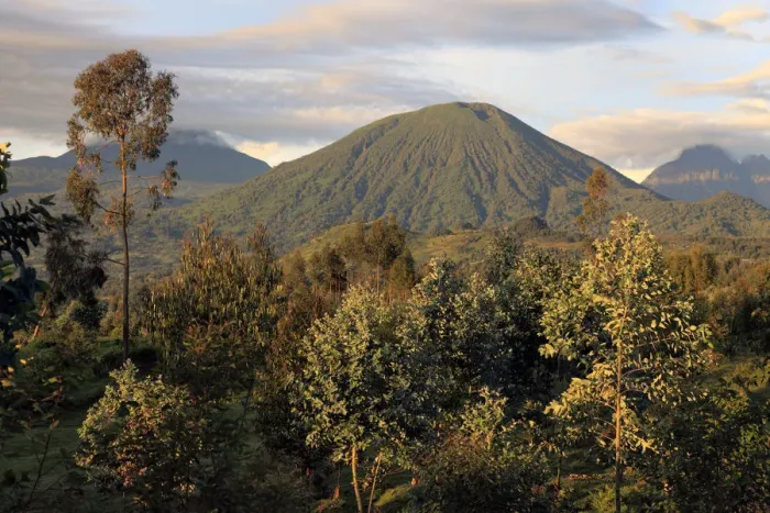 Gerahmter Druck : Virunga-Berge, Vulkan, Ruanda Gerahmter Druck : Virunga-Berge, Vulkan, Ruanda