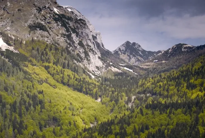 Gerahmter Druck : Gipfelpass Vrsić Gerahmter Druck : Gipfelpass Vrsić