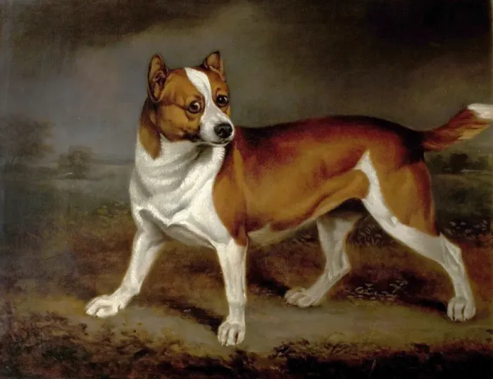 Gerahmter Druck : Nettle. Künstler : Chalon, Henry Bernard Titel Gerahmter Druck : Nettle. Künstler : Chalon, Henry Bernard Titel