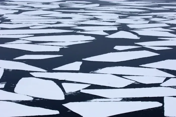 Gerahmter Druck : 01991dt. Bruchpackeis im Weddels Meer, Antarktika als Brüchpackeis oder Schelte Eis Gerahmter Druck : 01991dt. Bruchpackeis im Weddels Meer, Antarktika als Brüchpackeis oder Schelte Eis