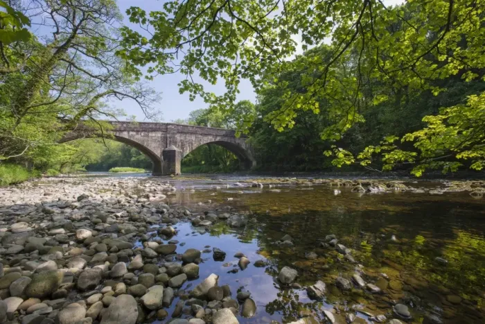 Gerahmter Druck : Blick auf Fluss und Brücke. Doofords Brücke über den Fluss Hodder in der Nähe von Whitewell im Wald von Bowland in Lancashire im Vereinigten Königreich Juni Gerahmter Druck : Blick auf Fluss und Brücke. Doofords Brücke über den Fluss Hodder in der Nähe von Whitewell im Wald von Bowland in Lancashire im Vereinigten Königreich Juni