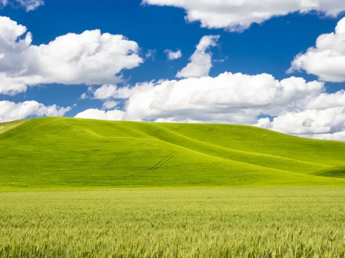 Gerahmter Druck : Vorderfeld mit weichen Wolken Gerahmter Druck : Vorderfeld mit weichen Wolken