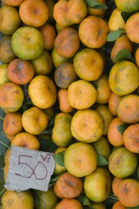 Gerahmter Druck : Vanuatu, Ozeanien Gerahmter Druck : Vanuatu, Ozeanien