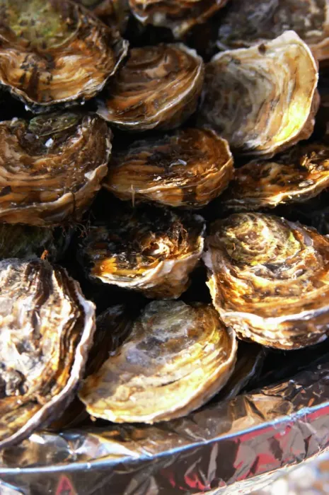 Gerahmter Druck : Ein Teller mit Muscheln Gerahmter Druck : Ein Teller mit Muscheln
