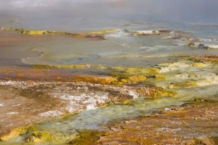 Gerahmter Druck : Wyoming, Yellowstone