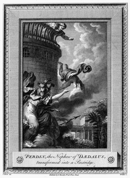 Gerahmter Druck : Daedalus und Perdix. Nachdem Daedalus seinen Nephew Perdix vom Tempel der Athene auf dem Akropolis warf, verwandelt Athena Perdix in einen Hasen Kupferstich aus England des 18. Jahrhunderts nach Charles Eisen Gerahmter Druck : Daedalus und Perdix. Nachdem Daedalus seinen Nephew Perdix vom Tempel der Athene auf dem Akropolis warf, verwandelt Athena Perdix in einen Hasen Kupferstich aus England des 18. Jahrhunderts nach Charles Eisen