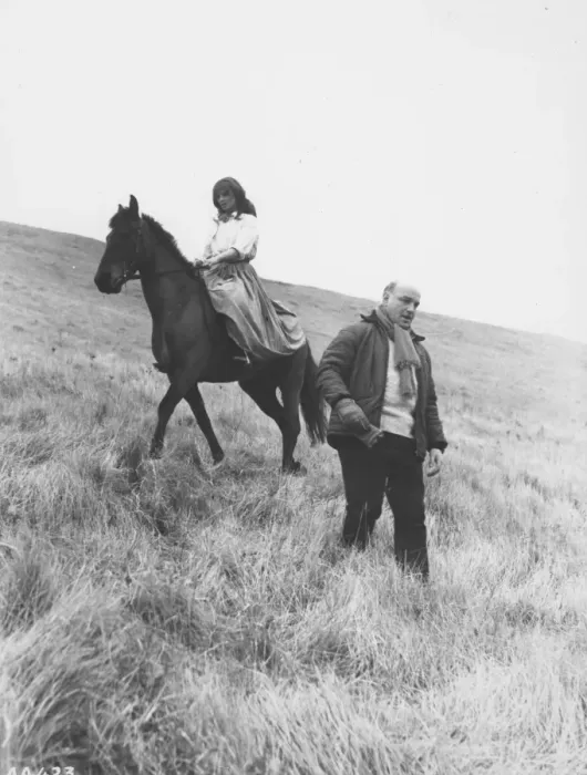 Gerahmter Druck : Von Weitem zur Wilden Jagd