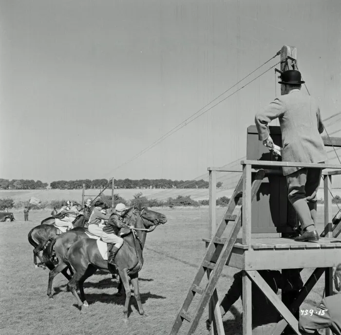 Gerahmter Druck : Die Regenbogenjacke (1954) Gerahmter Druck : Die Regenbogenjacke (1954)