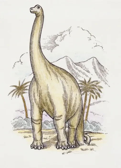 Gerahmter Druck : Kunstwerk eines Brachiosaurs Gerahmter Druck : Kunstwerk eines Brachiosaurs