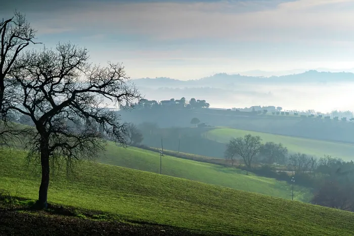 Gerahmter Druck : Countryside Gerahmter Druck : Countryside