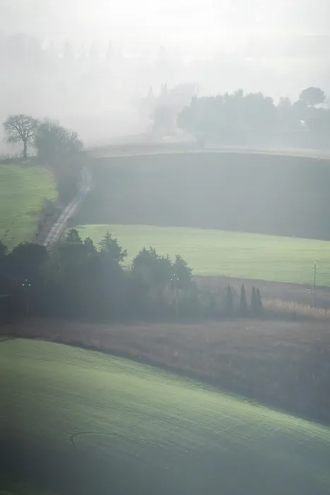 Gerahmter Druck : Countryside Gerahmter Druck : Countryside