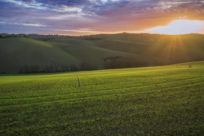 Gerahmter Druck : Landschaftsraum der Landschaft Gerahmter Druck : Landschaftsraum der Landschaft