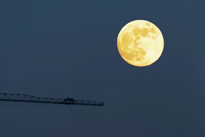 Gerahmter Druck : Mond und Krane Gerahmter Druck : Mond und Krane