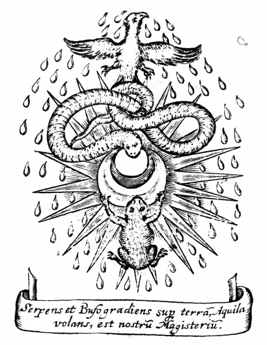 Gerahmter Druck : Die Alchemische Symbolik: Der Frosch und die Schlange repräsentieren zwei grundlegende Arten von Elementen, feste und ertöpflich Gerahmter Druck : Die Alchemische Symbolik: Der Frosch und die Schlange repräsentieren zwei grundlegende Arten von Elementen, feste und ertöpflich