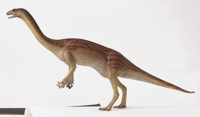 Gerahmter Druck : Äußere Merkmale des Anchisaurus Gerahmter Druck : Äußere Merkmale des Anchisaurus