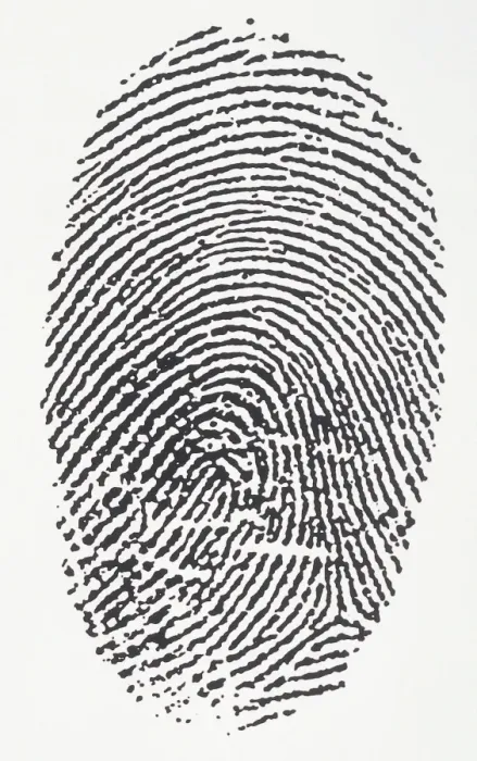 Gerahmter Druck : Fingerprint Gerahmter Druck : Fingerprint
