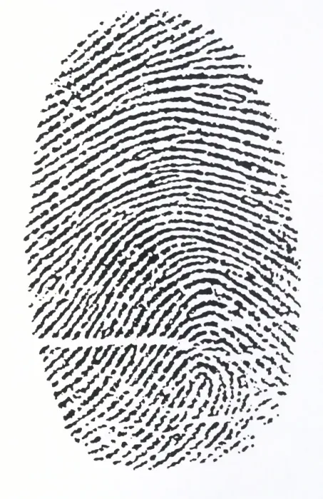 Gerahmter Druck : Fingerprint Gerahmter Druck : Fingerprint