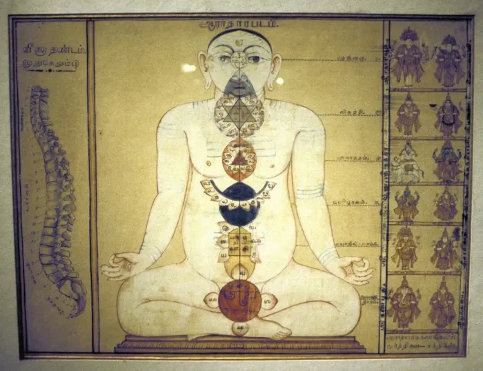 Gerahmter Druck : Sechs Chakras repräsentierende die Plexus des menschlichen Körpers. Hindusisch. Tanjore, Tamil Nadu, um 1850 Gerahmter Druck : Sechs Chakras repräsentierende die Plexus des menschlichen Körpers. Hindusisch. Tanjore, Tamil Nadu, um 1850