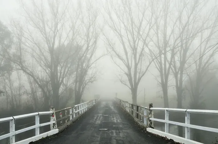Gerahmter Druck : Brücke aus Nebel über den Murray River Gerahmter Druck : Brücke aus Nebel über den Murray River