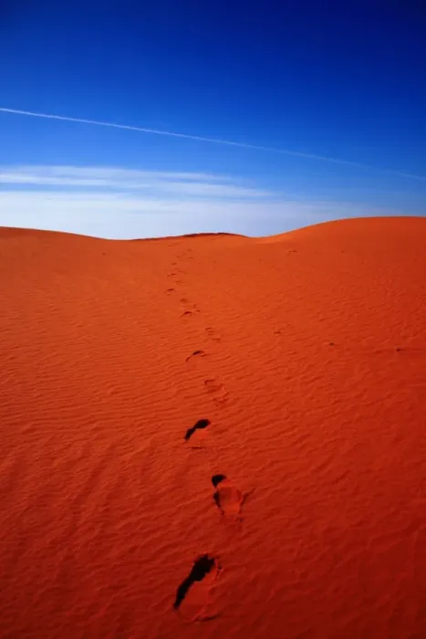 Gerahmter Druck : Rotes Sanddünen Gerahmter Druck : Rotes Sanddünen