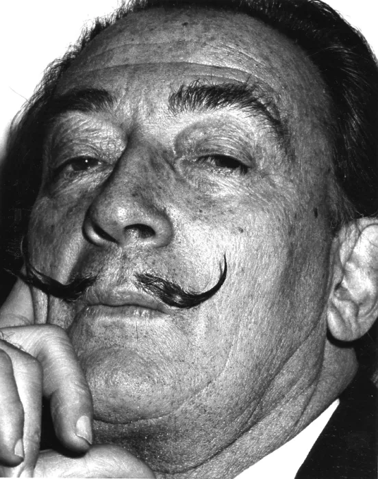 Gerahmter Druck : Porträt von Salvador Dali Gerahmter Druck : Porträt von Salvador Dali