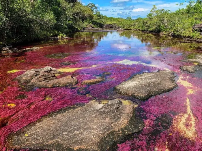 Gerahmter Druck : Rio Cañón de los Cristales, Fluss der fünf Farben