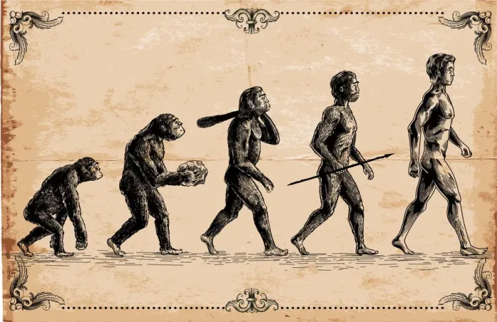 Gerahmter Druck : Konzept des Vektors der menschlichen Evolutionsgeschichte Gerahmter Druck : Konzept des Vektors der menschlichen Evolutionsgeschichte