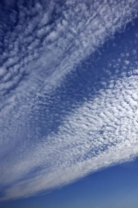 Gerahmter Druck : Weiche Wolken oder Cirrocumulus-Wolken in Bentin, Rognitz, Mecklenburger Vorpommern Deutschland Gerahmter Druck : Weiche Wolken oder Cirrocumulus-Wolken in Bentin, Rognitz, Mecklenburger Vorpommern Deutschland