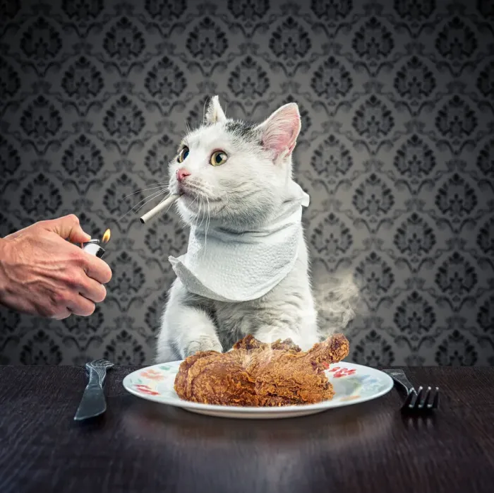 Gerahmter Druck : Abendessenzeit Gerahmter Druck : Abendessenzeit