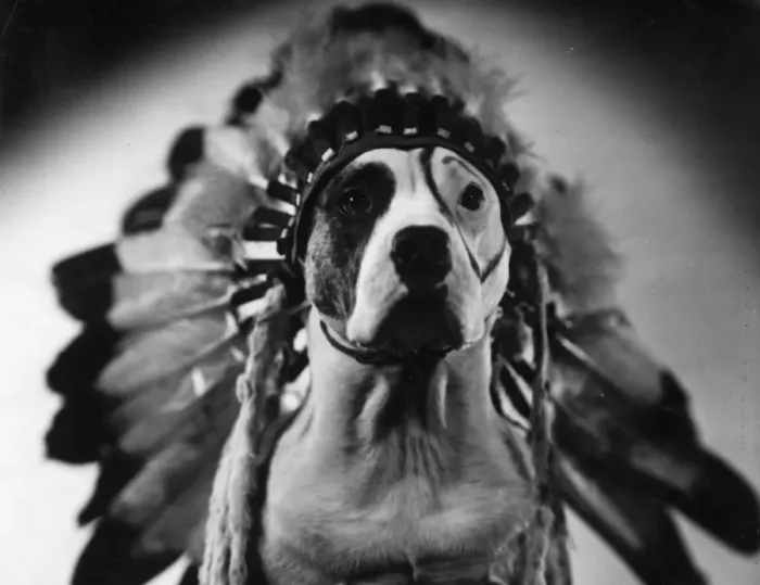 Gerahmter Druck : Injun Pete Gerahmter Druck : Injun Pete