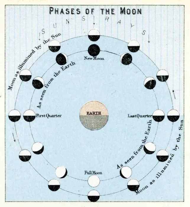 Gerahmter Druck : Phasen der Mond Gerahmter Druck : Phasen der Mond