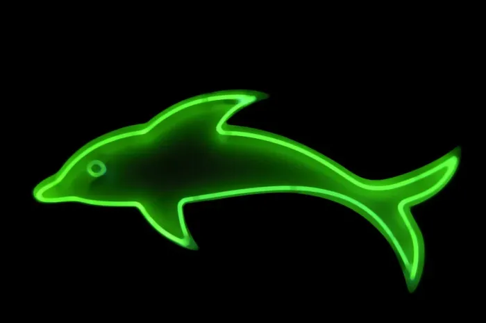 Gerahmter Druck : Roter Delfin Gerahmter Druck : Roter Delfin