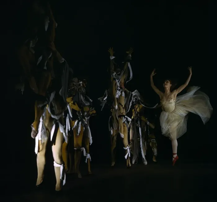 Gerahmter Druck : Moiras Ballet Gerahmter Druck : Moiras Ballet