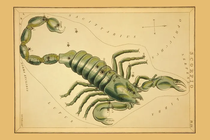 Gerahmter Druck : Scorpio. VON GROSSBRITANNIEN - CIRCA 1825: Astronomische Karte Gerahmter Druck : Scorpio. VON GROSSBRITANNIEN - CIRCA 1825: Astronomische Karte