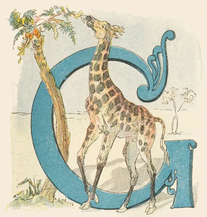 Gerahmter Druck : G: Giraffe -> G: Giraffe Gerahmter Druck : G: Giraffe -> G: Giraffe