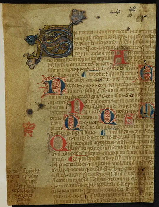 Gerahmter Druck : Illuminierte Initiale mit Blätterdekoration, einschließlich hybrider Kreaturen. Gerahmter Druck : Illuminierte Initiale mit Blätterdekoration, einschließlich hybrider Kreaturen.