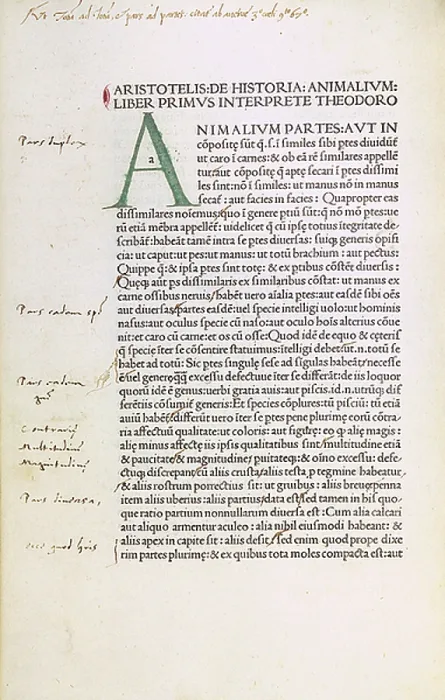 Gerahmter Druck : Manuskript von Aristoteles. Gerahmter Druck : Manuskript von Aristoteles.
