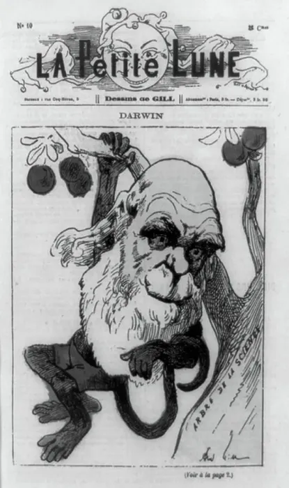 Gerahmter Druck : Karikatur, 1871. Gerahmter Druck : Karikatur, 1871.