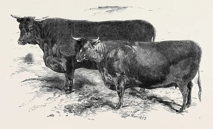 Gerahmter Druck : Quellengröße = 3756 × 2241 Gerahmter Druck : Quellengröße = 3756 × 2241