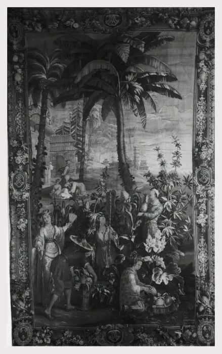Gerahmter Druck : Die Ernte von Ananas. Gerahmter Druck : Die Ernte von Ananas.