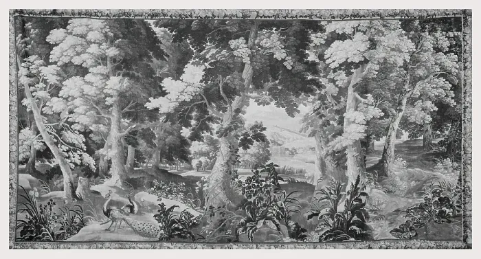 Gerahmter Druck : Landschaftspfau Gerahmter Druck : Landschaftspfau