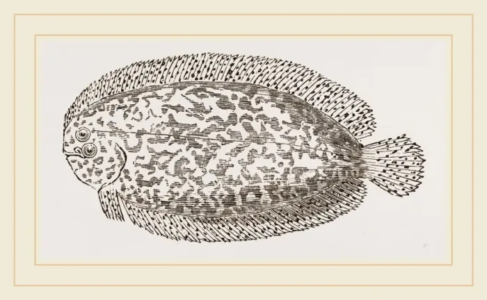 Gerahmter Druck : Marmor sole