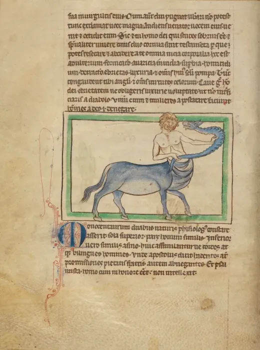 Gerahmter Druck : Ein Einhorn Gerahmter Druck : Ein Einhorn