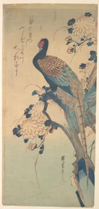 Gerahmter Druck : 歌川広重 ' 菊に雉 Pheasant Chrysanthemums Gerahmter Druck : 歌川広重 ' 菊に雉 Pheasant Chrysanthemums